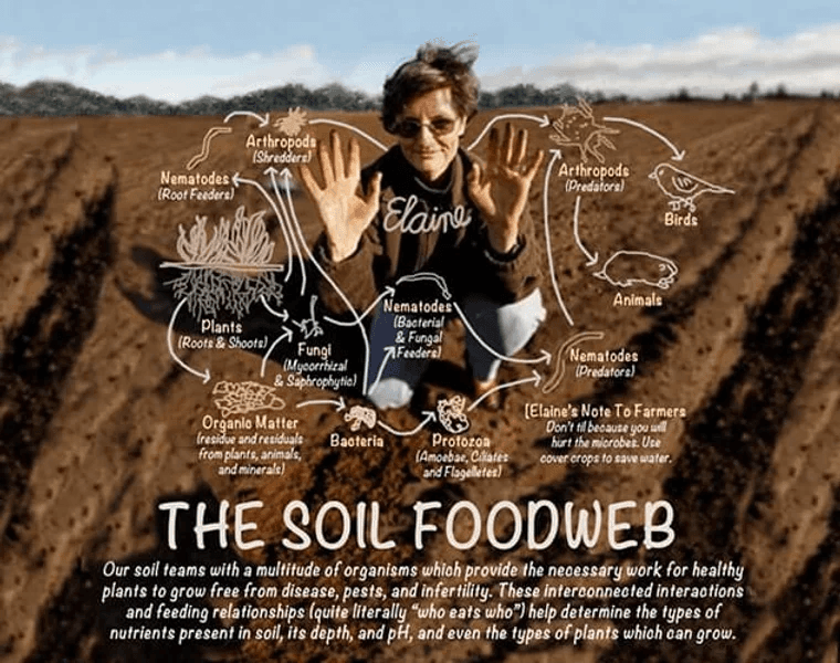 soilfood-graph